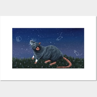 Grey Rat Stargazing Posters and Art